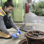一名年轻女子在下水道里测试水样