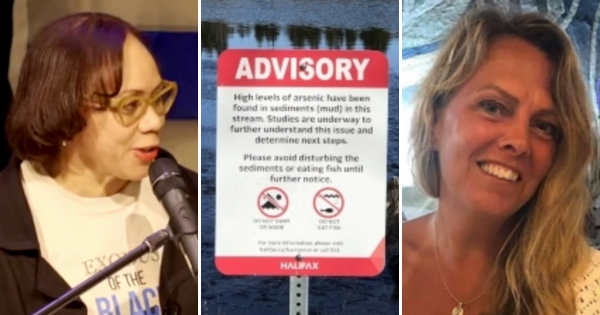 三张照片:一个站在讲台上的黑人妇女，一个忠告牌，一个微笑的白人妇女