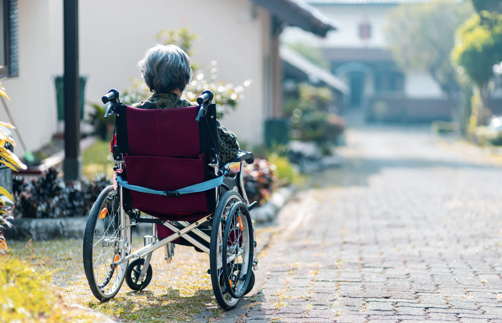 一位坐在轮椅上的妇女背对着镜头，眺望着沐浴在阳光和树木中的社区。