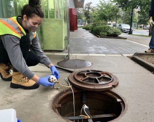 一名身穿反光背心的年轻女子俯身在人行道上一个打开的下水道孔前，手里拿着一个提取废水的仪器。