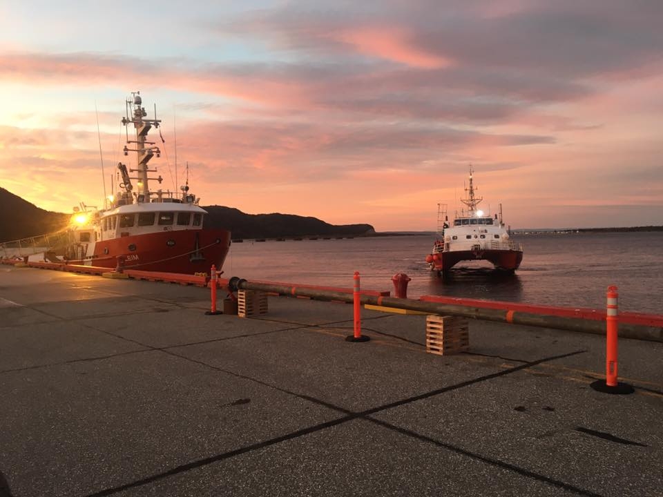 码头新建了两艘船