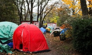 Tents in a park under trees with autumn leaves
