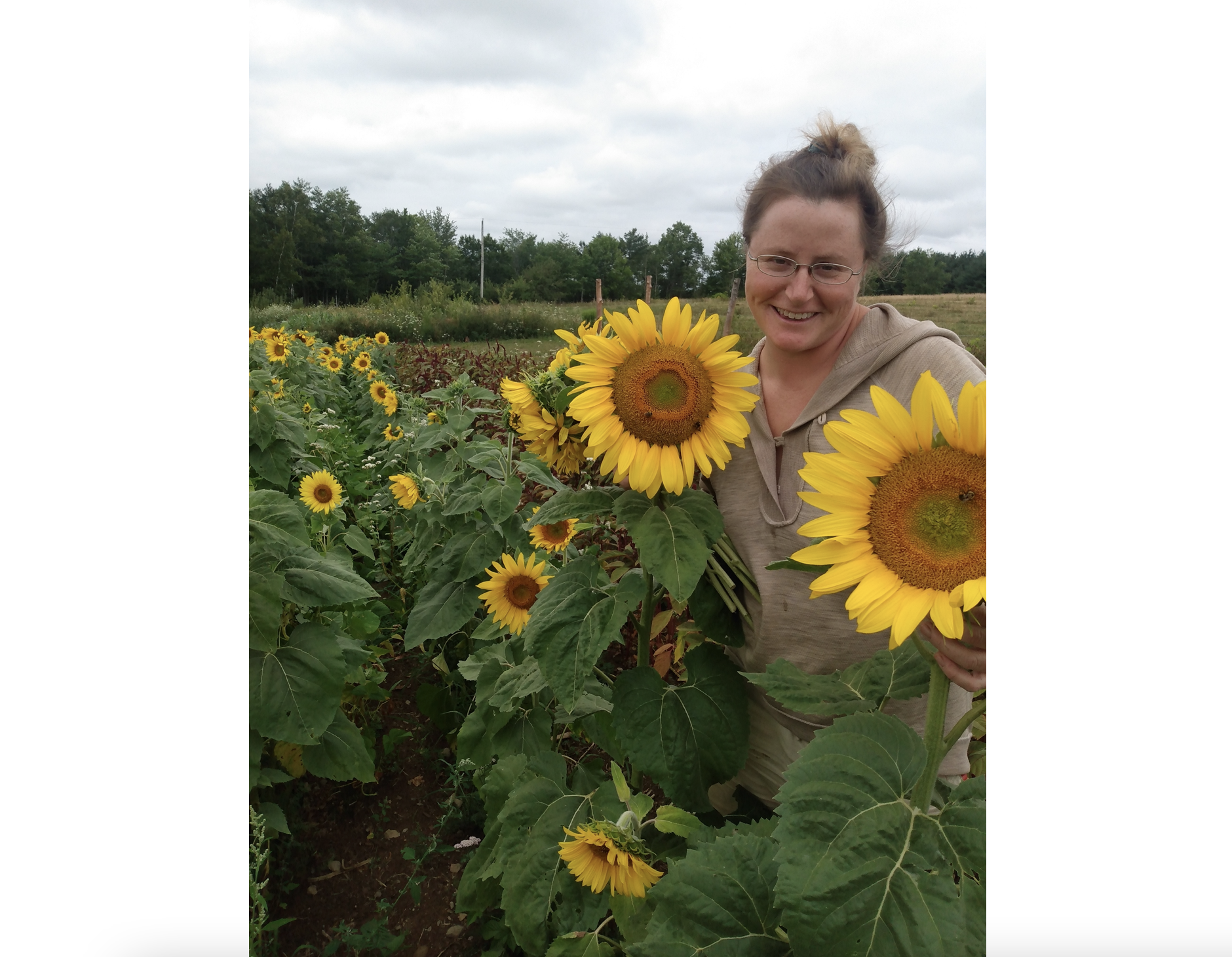 一位戴着眼镜、挽着发髻的微笑女子站在向日葵丛中，在灰色天空的背景下，她微笑着站在两朵大向日葵之间。