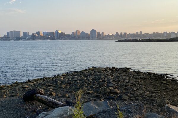 从达特茅斯俯瞰日落时分的哈利法克斯城市天际线。在前景中有一块露出地面的岩石，上面有一根圆木和一个旧轮胎。中间还有一块岩石露出水面，就是国王码头码头。