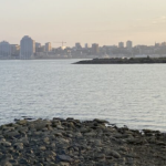 从达特茅斯俯瞰哈利法克斯