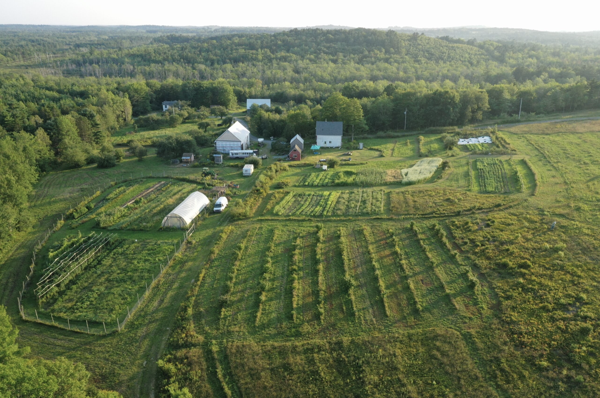 一个家庭农场的航拍照片，有成排的植物，温室和森林围绕着建筑和田地。