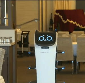 A robot with a cat-looking face an a long white robot body in a restaurant delivering food.