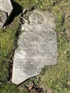 草地上有一块部分破碎的墓碑。