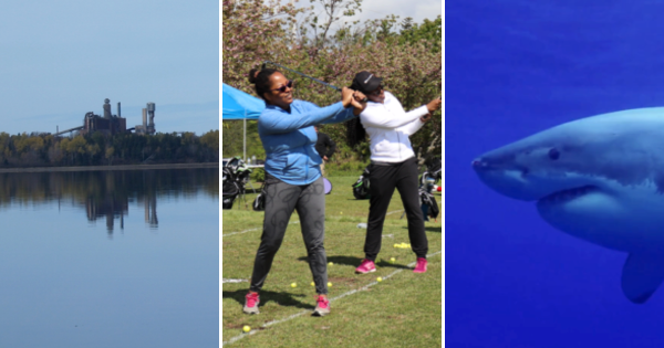 三张照片:北方纸浆厂，两个黑人妇女练习高尔夫挥杆，深蓝色水中的大白鲨