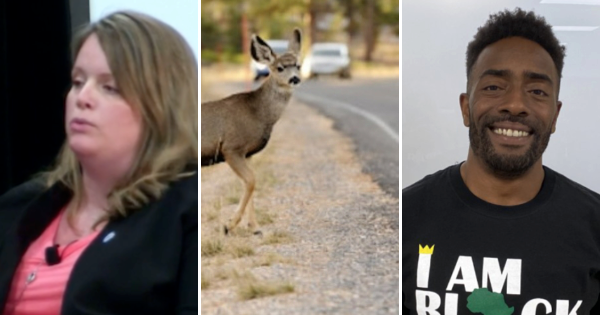 Three photos: A white woman testifies at the MCC, a deer waits to cross the road, and a Black man smiles in a school hallway