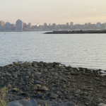 在朦胧的夏日，从达特茅斯湾（Dartmouth Cove）看到的哈利法克斯的景色