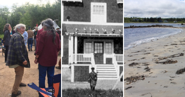 Three photos: A group of protesters happily chatting in a forest, A person standing in front of the Home for Colored Children, and a so-far unspoiled beach