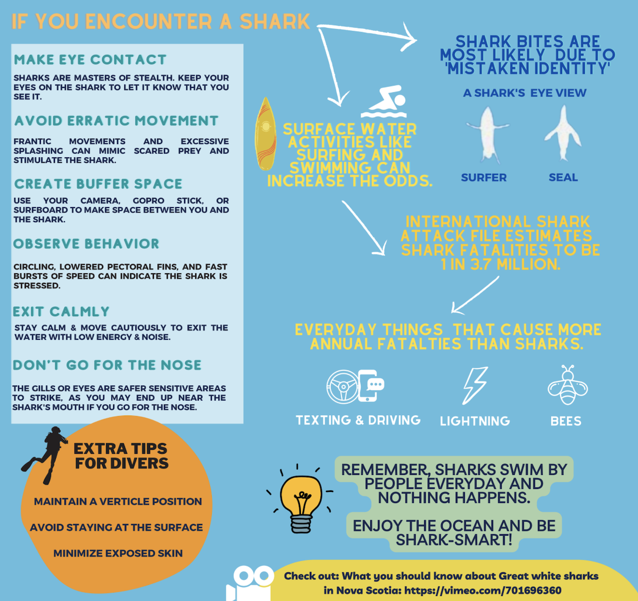 A bright infographic sharing tips on what to do if you encounter a great white shark in the ocean.