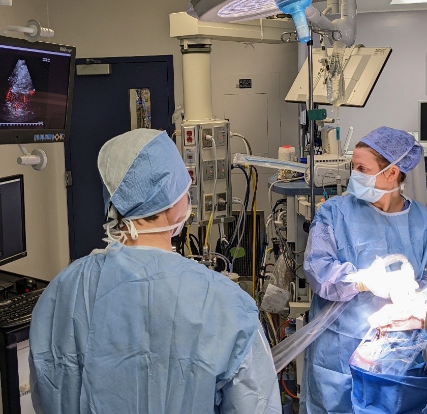 一名外科医生和一名内科同事都穿着蓝色的手术服，在手术室里给病人做手术。