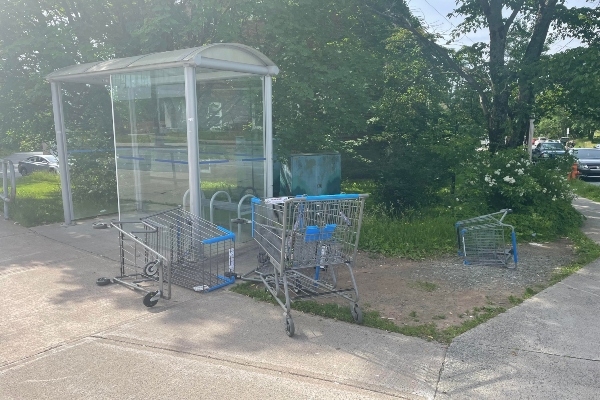 街道上公共汽车站旁的购物车。