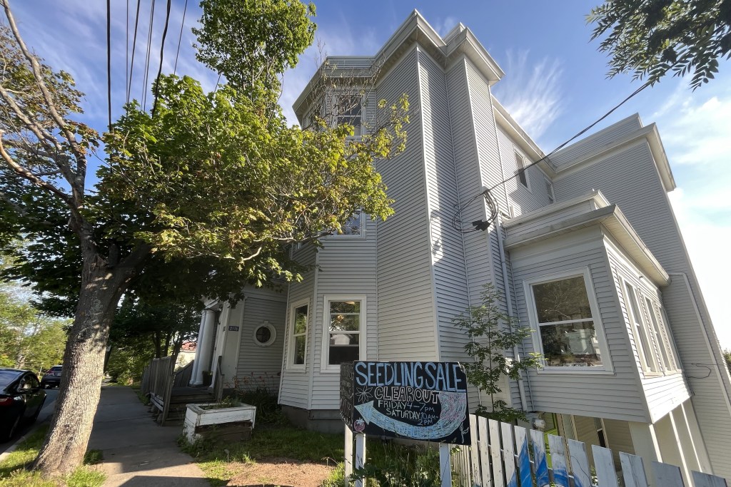 从侧面可以看到一座带有更新的乙烯基护墙板的老建筑，上面是蓝天，前景是绿树。