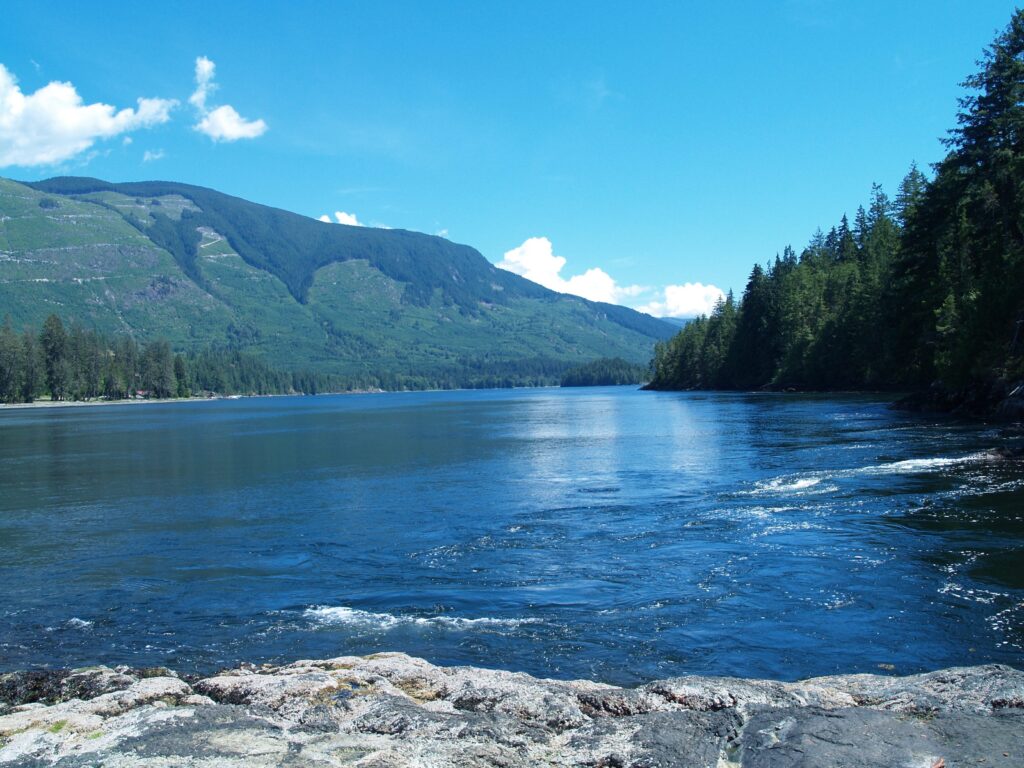 BC省阳光海岸斯库kumchuck Narrows附近的清晰的山坡。照片:琼巴克斯特