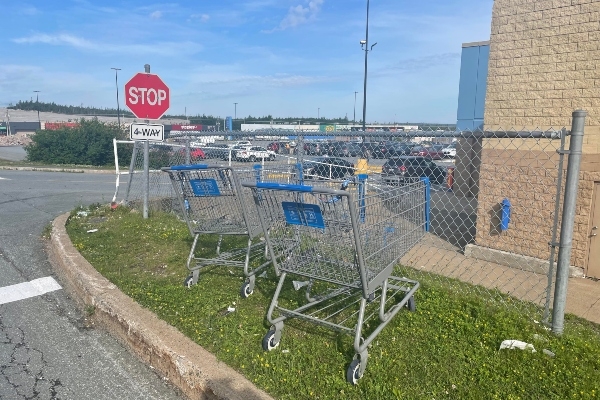 两辆购物车并排停在十字路口旁边的草地上。十字路口有一个停车标志和一家沃尔玛商店。