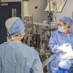 一位女外科医生和一位同事在手术室里工作