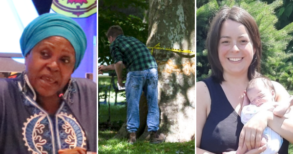 三张照片:一个戴着蓝色头巾的黑人妇女在研讨会上讲话;一个白人男子试图修复损坏的树皮;一个棕色头发的白人妇女抱着她的新生儿