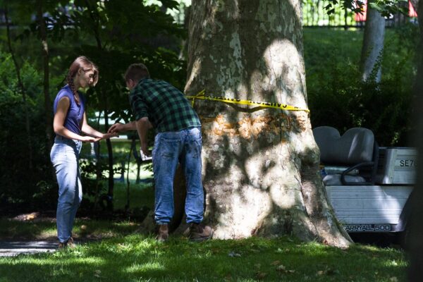 A man passes something to a woman. They're standing in front of a tree missing a ring of its bark. above the missing bark is police tape.