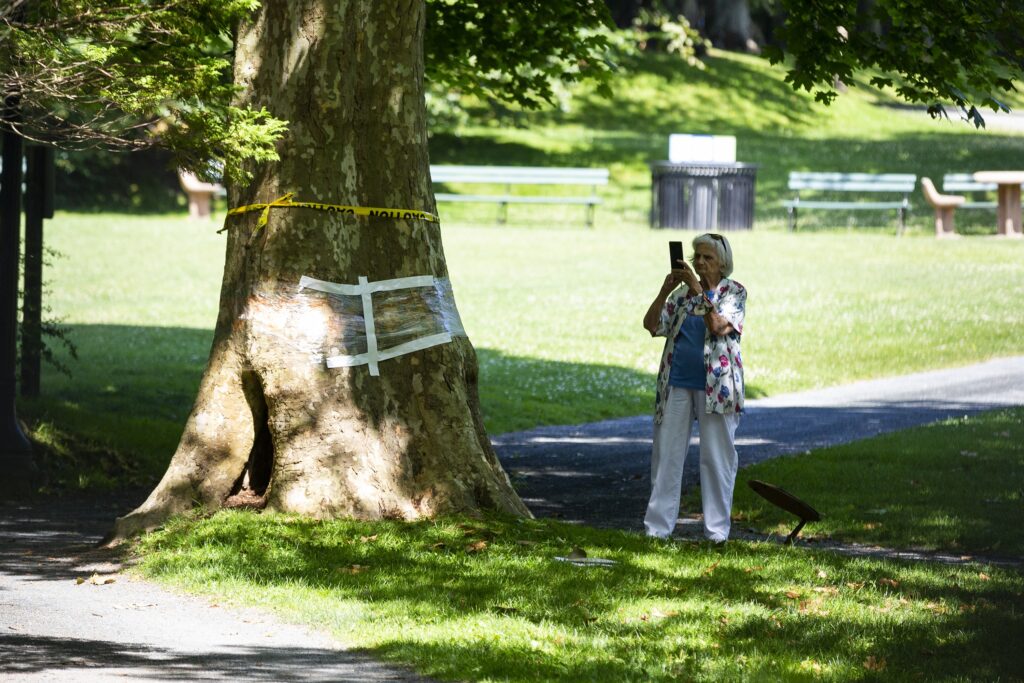 A woman wearing white pants, a blue shirt, and a white flowery overshirt photographs a tree. The tree has been vandalized and then repaired with shrinkwrap. There's a strip of yellow police tape above the repair.