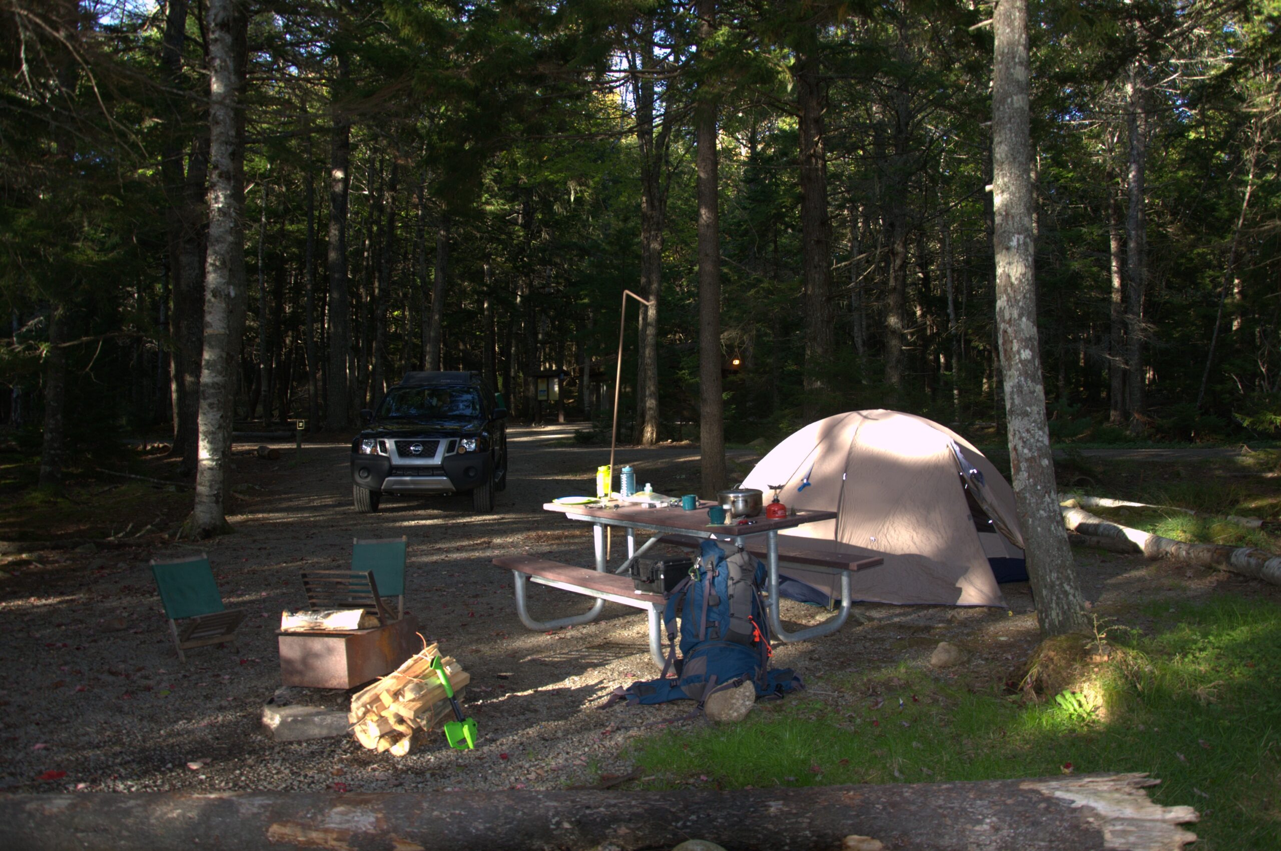 Frontcountry campsite, showing a tent, a picnic table with gear on it, a stack of firewood beside a fire pit, and an SUV in the background.