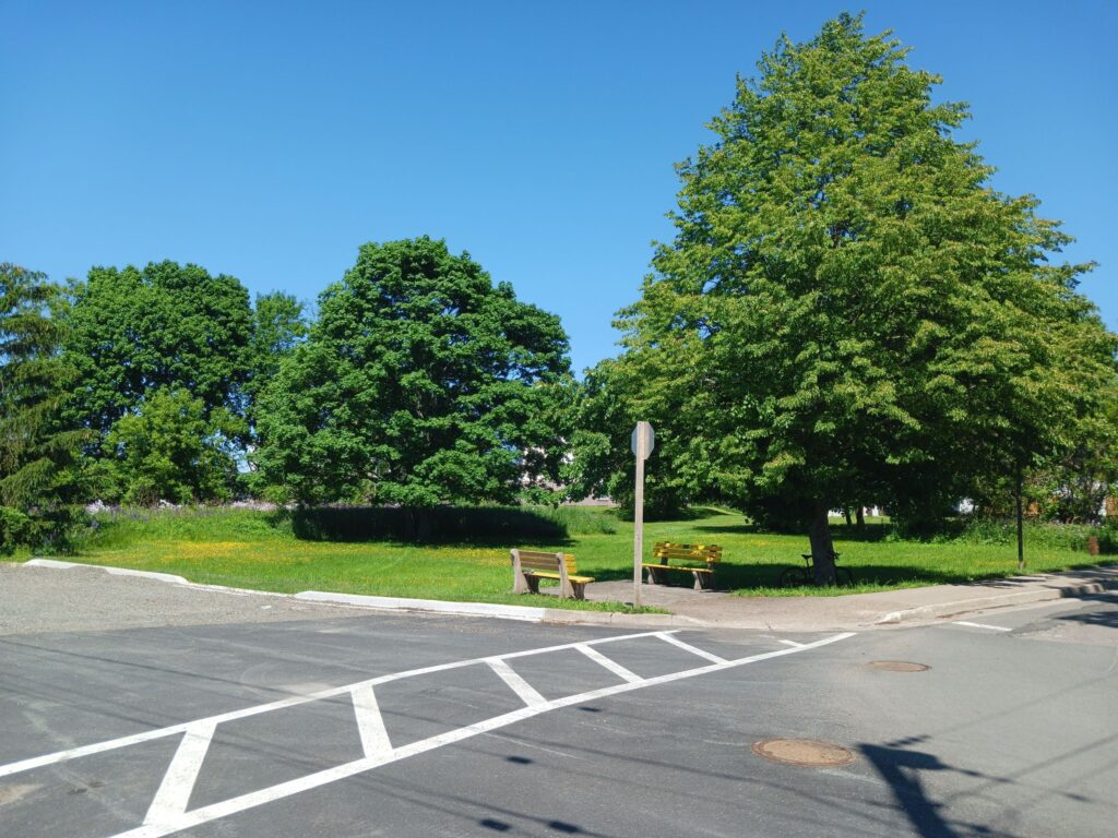 两条街的交叉路口，看着一片有树和黄色长椅的土地。