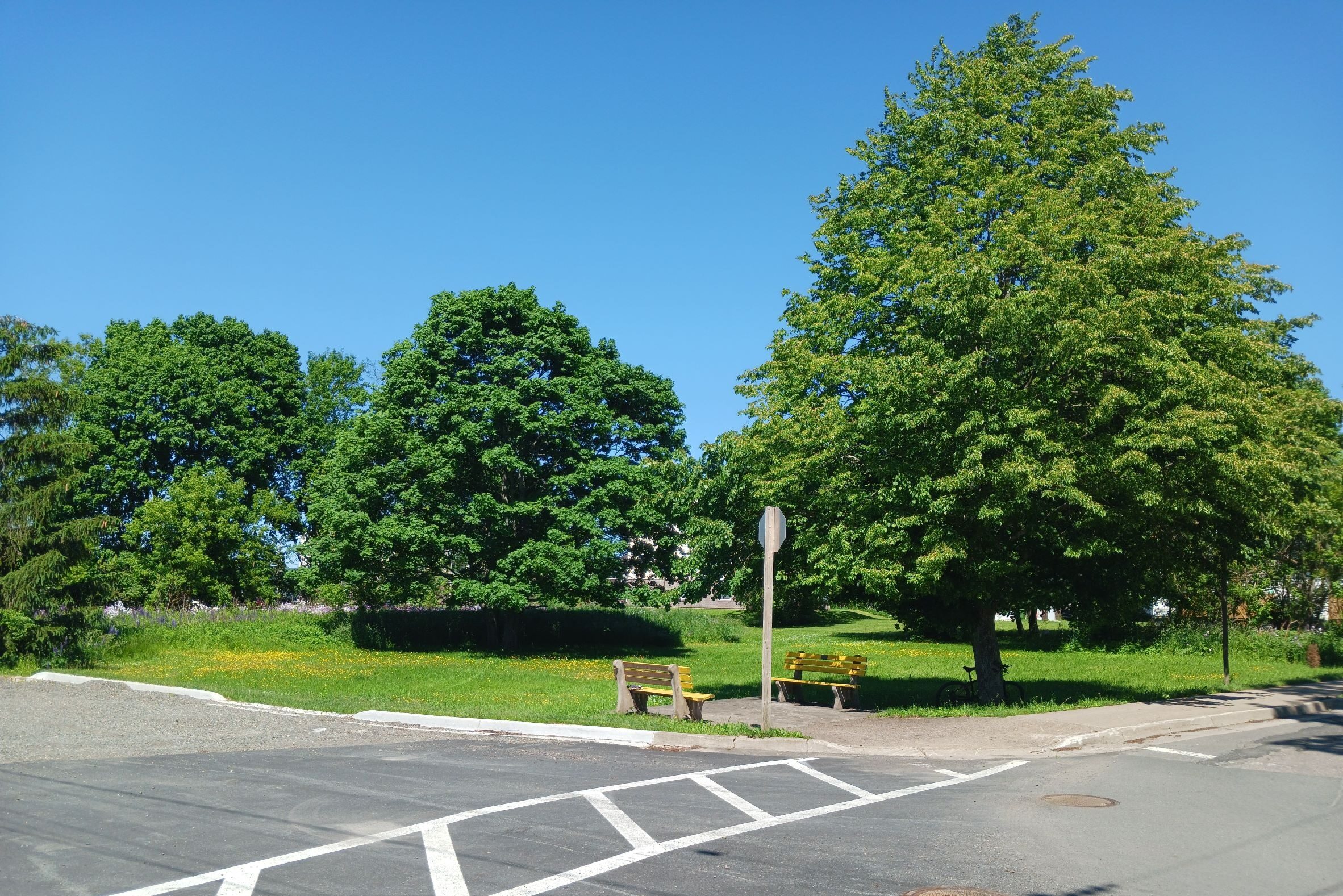 两条街的交叉路口，看着一片有树和黄色长椅的土地。