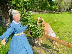 一名身穿维多利亚时代蓝色连衣裙、头戴无边帽的女子站在篱笆旁，那里有一只山羊正在吃树叶。