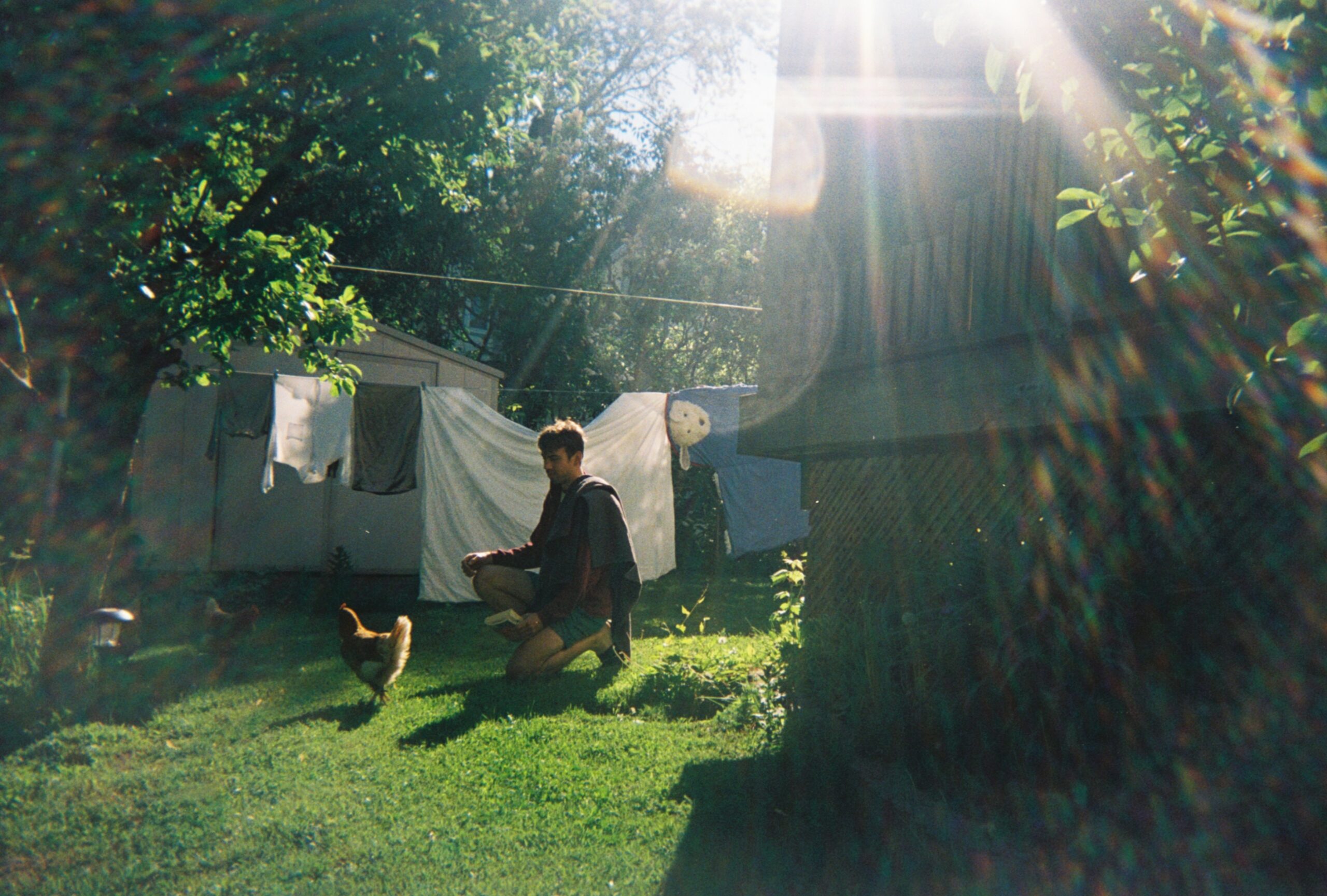 一个男人跪在一个长满草的后院的一只鸡旁边