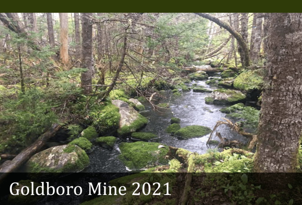 作为环境评估的一部分，Signal Gold考古资源影响评估提交给NS环境和气候变化，展示了森林中一条美丽的小溪，标题是“Goldboro Mine 2021”……矿山会破坏的风景。