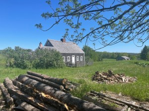 在被树木和成堆的木头包围的田野里，有一座灰色木瓦的房子