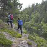 两个人在一条小溪附近的森林里徒步旅行