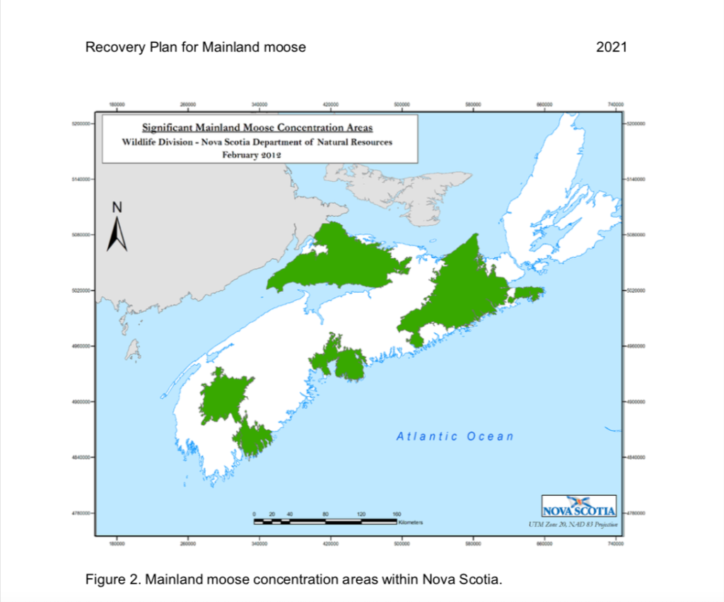 这张2021年新斯科舍省自然资源和可再生能源地图用绿色显示了该省有大陆驼鹿的主要地区，东海岸的盖伊斯伯勒县似乎是最大的，坎伯兰县位居第二。
