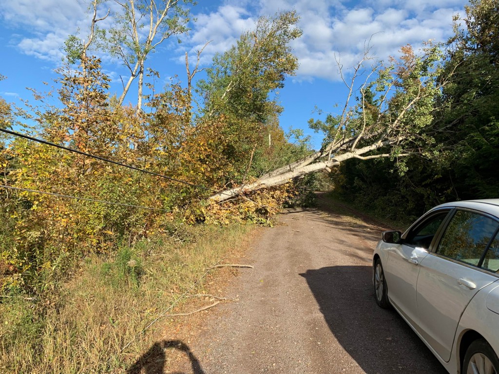 在农村，一棵树倒在土路上。在前景是一辆白色汽车被挡在路上的树