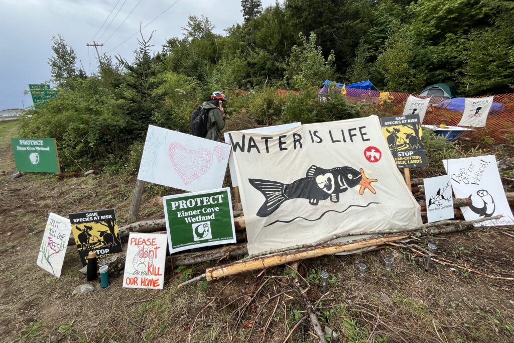 “保护艾斯纳湾湿地”、“水是生命”等标语张贴在一片树林前。