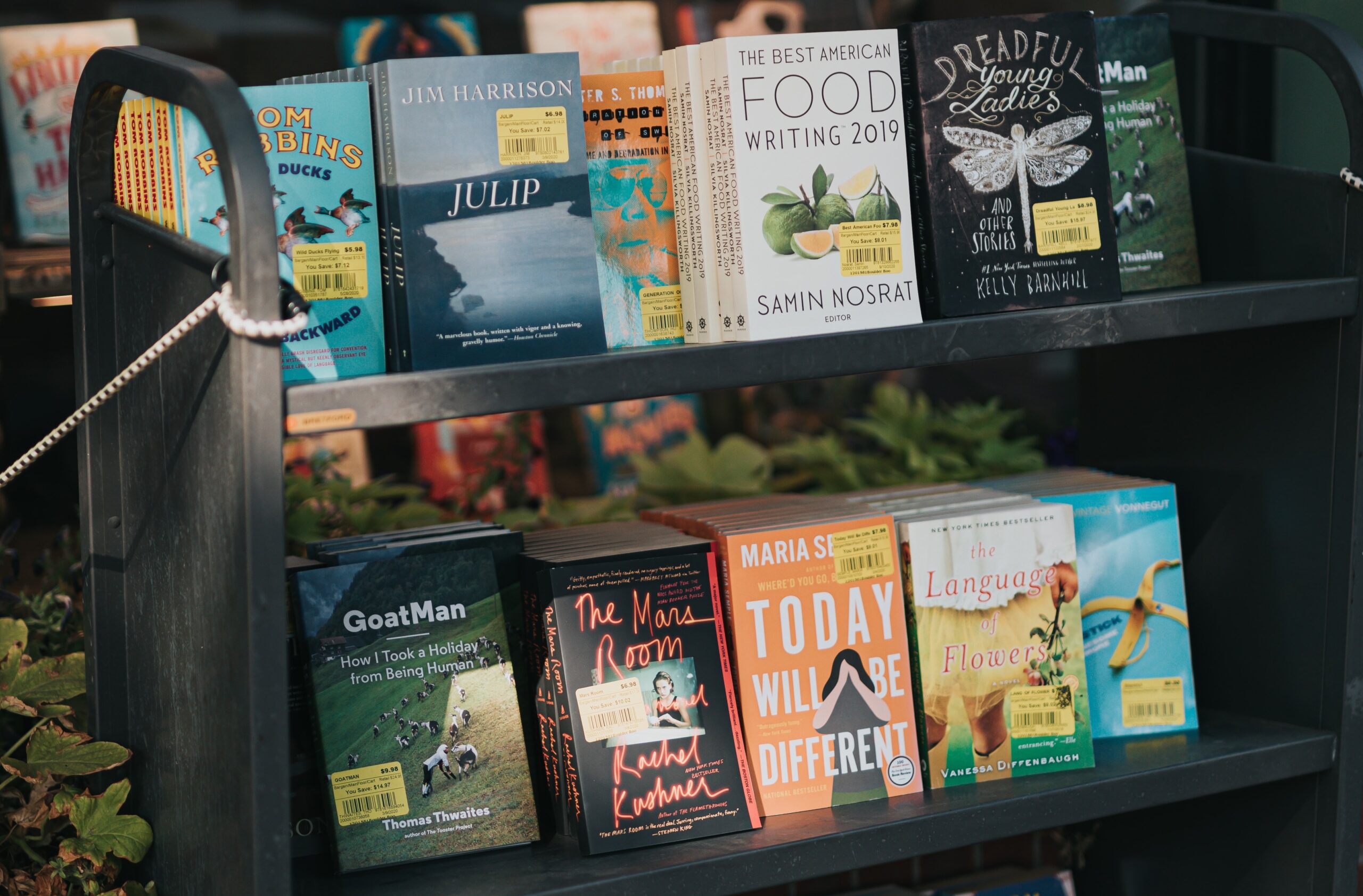 商店橱窗的书架上陈列着两行书