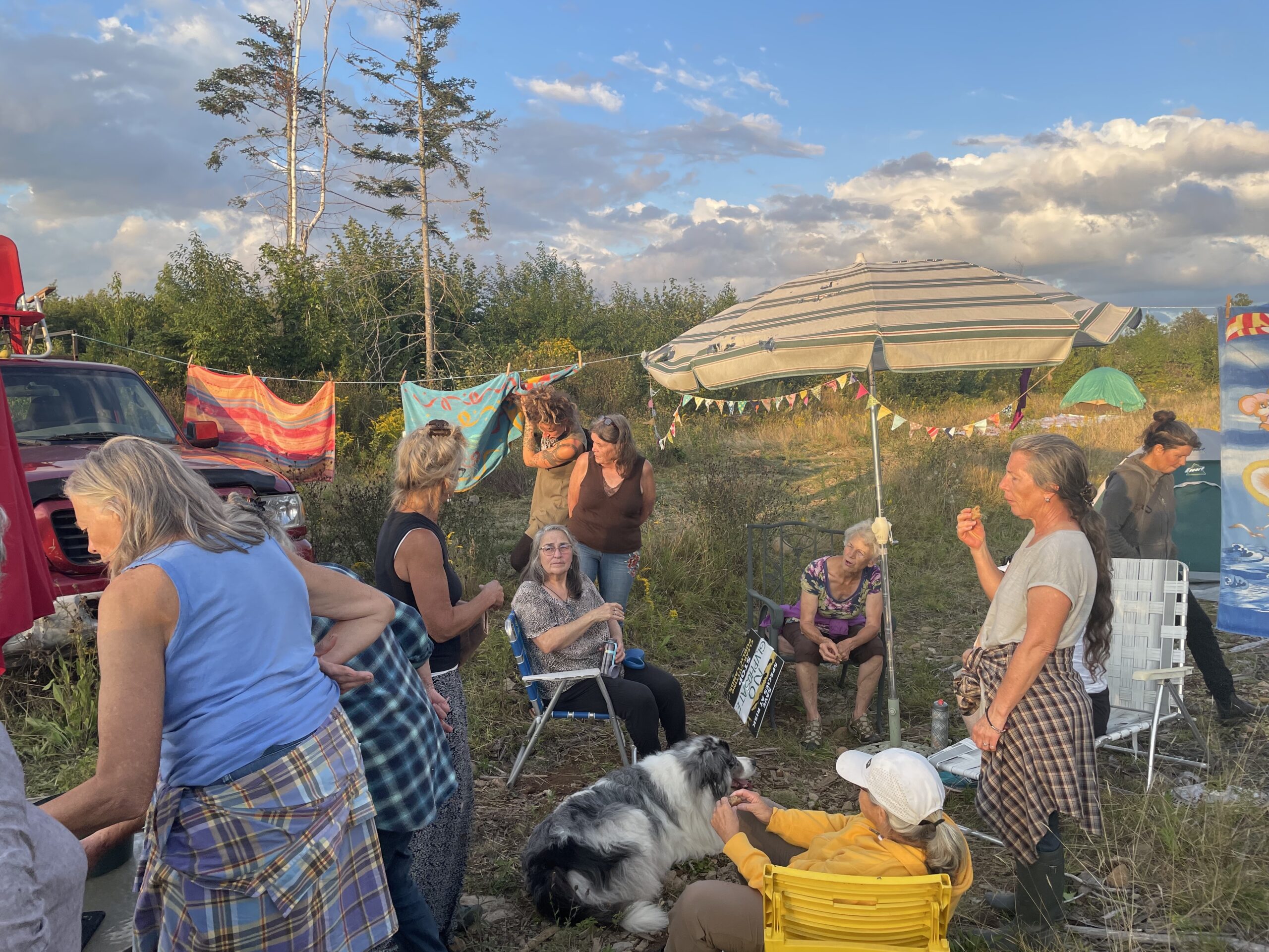 黄昏时分，9名抗议者围坐在一片被森林包围的田野上，打着伞。一只狗坐在前景上。有些人坐着，有些人站着。