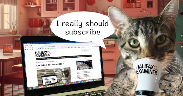 图片插图灰塔比坐1950风格厨房 喝验尸杯咖啡 站在笔记本电脑前验尸官笔记本电脑屏幕开放他说我真的应该订阅