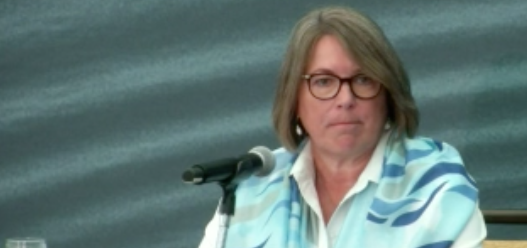 一个穿着蓝色上衣，戴着眼镜的女人坐在麦克风前